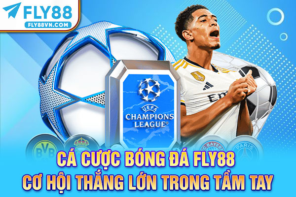 Cá cược bóng đá Fly88