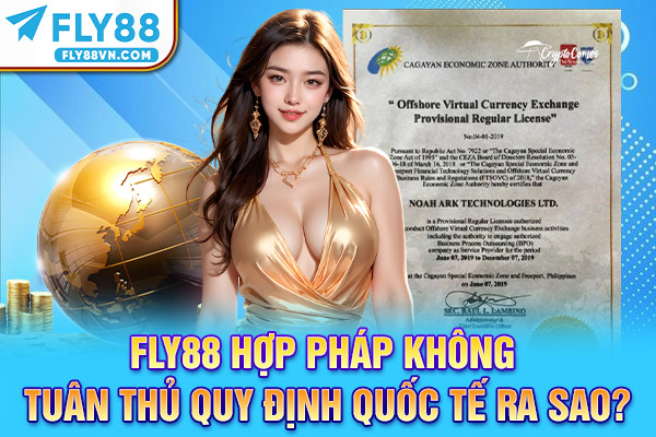 Fly88 hợp pháp không, tuân thủ quy định quốc tế ra sao?